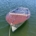 Heistracher Seestern Elektroboot